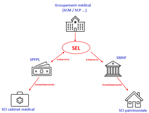 Schéma illustrant les structures juridiques pouvant être reliées à une SEL